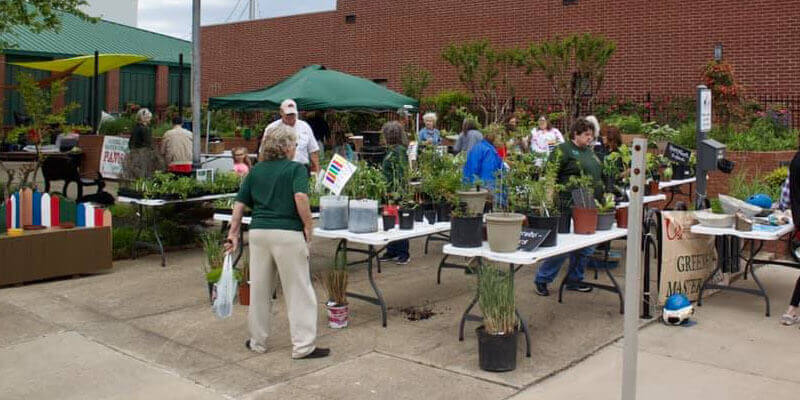 Gardeners selling plants during Art and Stroll