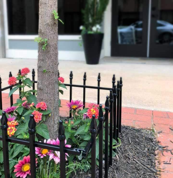 Sidewalk plants